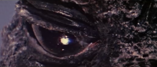 File:DRAMATIC CLOSE-UP ON MUSUKOGOJI.png
