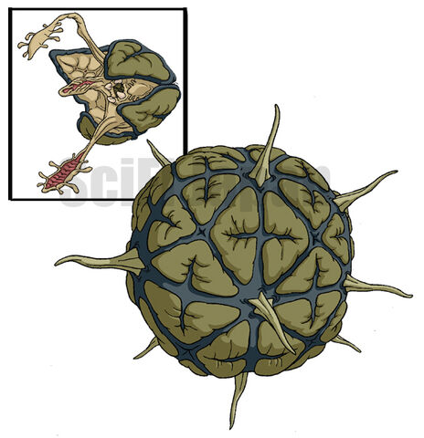 File:Bacillus.jpg