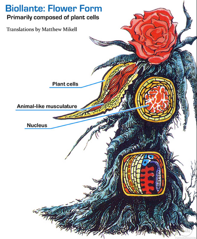 File:Plant isidesimage.png