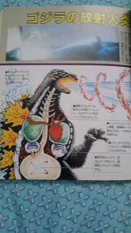 File:Another Godzilla anatomy againimage.jpeg