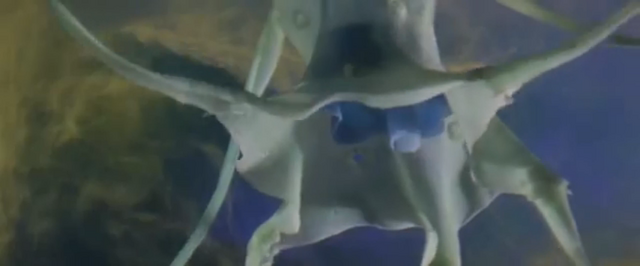 File:Dogora HD 2.png