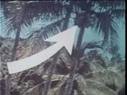 Guam.jpg