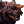 Resized Image