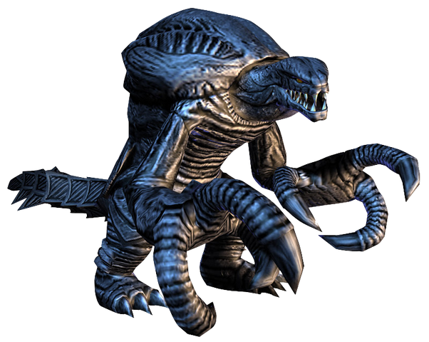 File:Orga.png