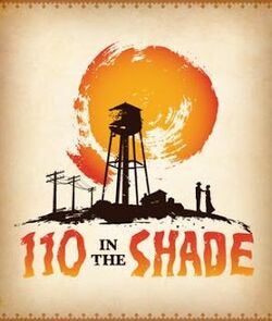 110shade