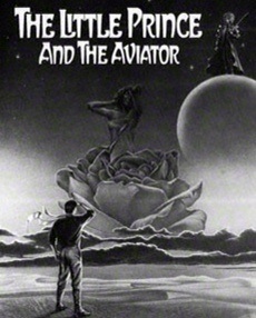 Littleprinceaviator
