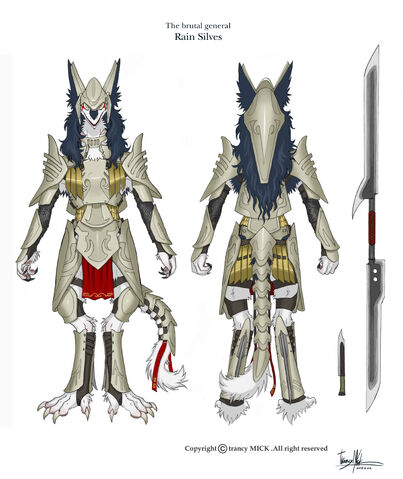 File:Generalrainarmor.jpg