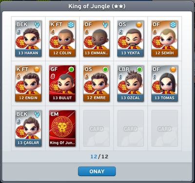 King Of Jungle Takım