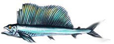 Plik:Gigazaglon.png