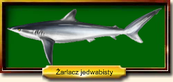 Plik:Zjedwabisty.png