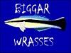File:Biggar Wrasses Logo 2.jpg