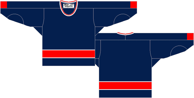 File:BlueJackets-Away.gif