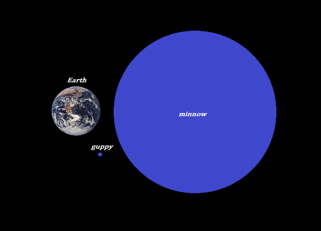 File:Minnow-to-earth.png