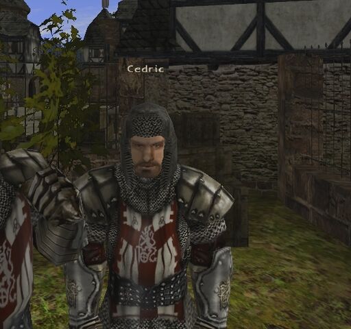 Soubor:Cedric.jpg