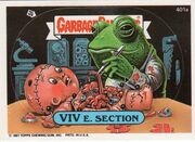 Viv E. Section