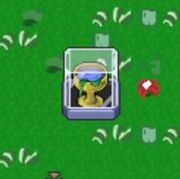 Display case with item