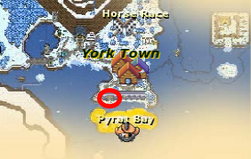 York pyrats location