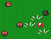 Bugs