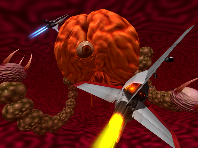 File:Salamander Brain.png
