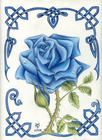 File:Blue Rose by robertsloan2.jpg