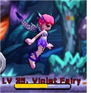 Violet Fairy