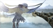 Gryph