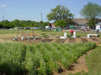 May 24 garden