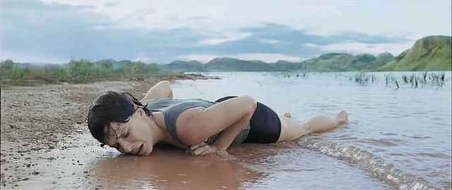 File:Gravity 2013 DVDSCR XVID AC3 Mi LLENi UM avi snap.jpg