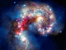 Images (6)