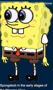 Spongee