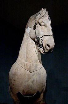 Arion pic