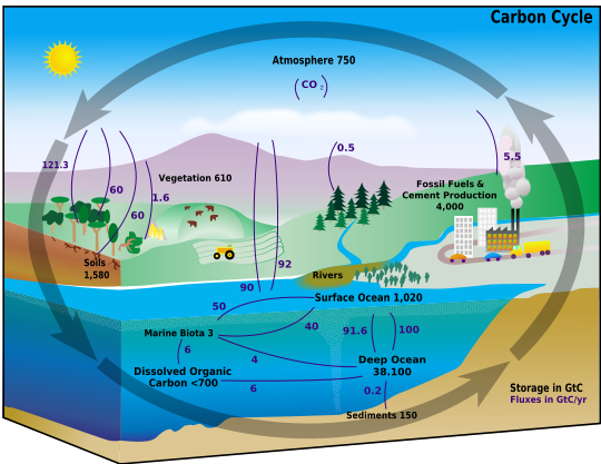 File:Carbon cycle.png