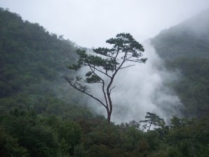 File:10 Rain.jpg