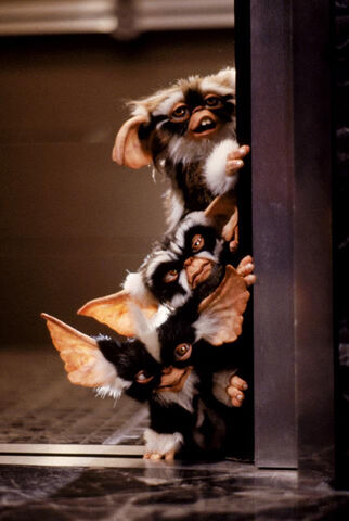 File:Tumblr m68pbvigZS1qbgax2o1 1280.jpg