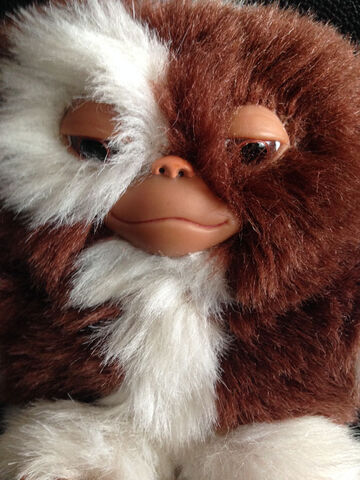 File:Gizmo2.jpg