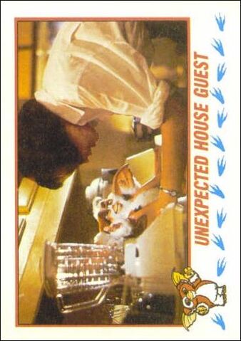 File:Topps Unexpected House Guest.jpg