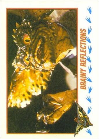 File:Topps Brainy Reflections.jpg