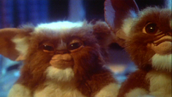 Mogwai