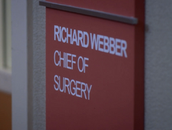 GA416ChiefofSurgery