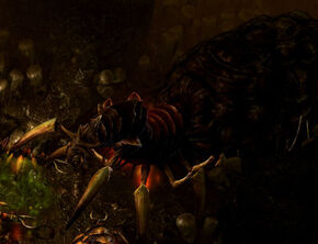 Ravna 1
