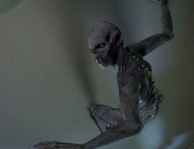 Aswang1