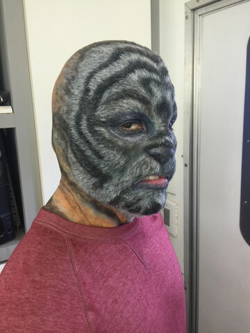 File:513-BTS20.jpg