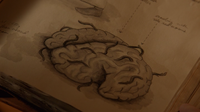 215-Jinnamuru Xunte brain diary