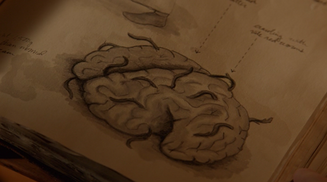 File:215-Jinnamuru Xunte brain diary.png