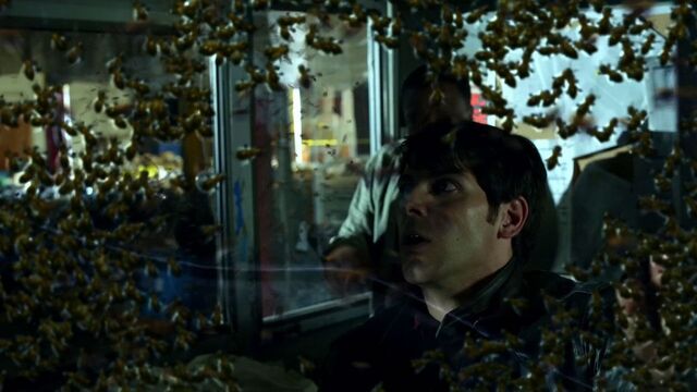 File:1x03-Beeware.jpg
