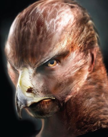 Archivo:Steinadler .png