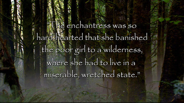 File:Quote 107.jpg