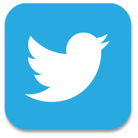 File:Twitter icon.png
