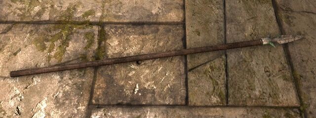 File:Legionary spear ig.jpg