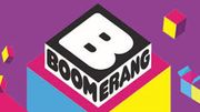 New boomerang log
